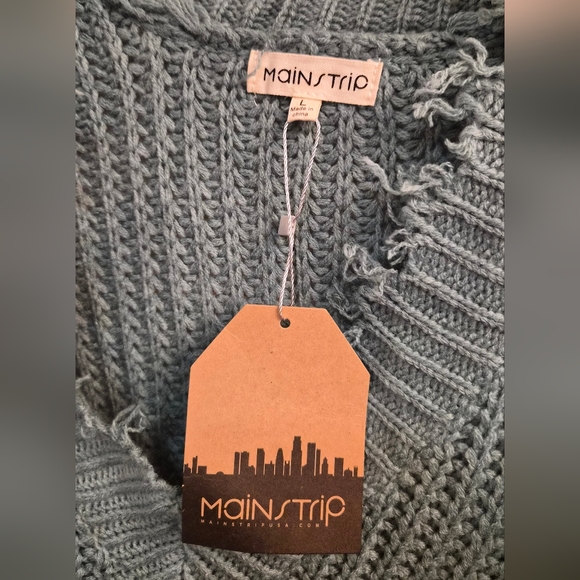 NWT Main Strip Distressed V-Neck Knit Sweater – Sage Teal Green (L) - Picture 2 of 4